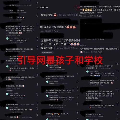 爆料华裔兄弟视频播放网站,热门爆料背后的故事 第3张 爆料华裔兄弟视频播放网站,热门爆料背后的故事 第3张