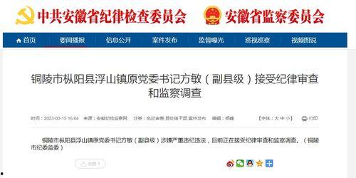 枞阳新闻爆料电话查询网,一键获取权威新闻线索